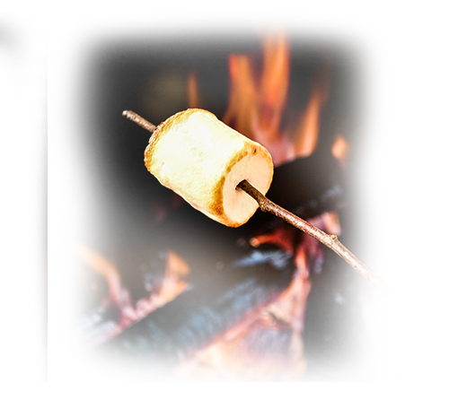 bbq marshmallow